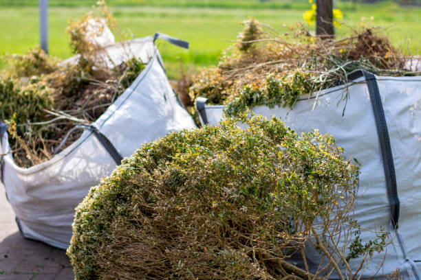 Best Attic Cleanout Services  in Sauk Vlage, IL